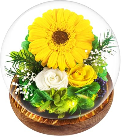 Touloube Rose Women Gifts - Chrysanthemum Flowers Gifts for Women, Real Stabilized Sunflower Glass Dome, with LED Lights&Gift Box, Anniversary Birthday Present for Wife Mom Grandma