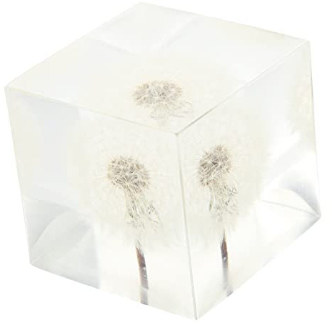 HOLIDYOYO Kreativer Pusteblumenwürfel Aus Haltbarem Kristallglas Natürliche Tischdekoration Fürs Homeoffice Geschenk Für Geburtstag Und Büro
