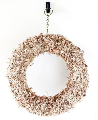 SuperMoss (22342) Sphagnum Moss Living Wreath 13 - Round, Natural