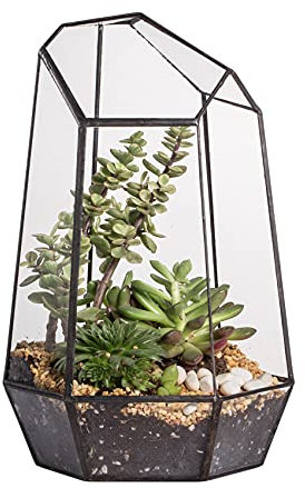 NCYP Opened Geometric Glass Terrarium for Succulent, Air Plants - 16.5 x 14.5 x 25 CM Irregular Glass Planter Pot - Indoor Garden Tabletop Decor, Black (No Plants, No Door)