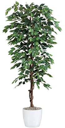 Künstlicher Ficusbaum Benjamini mit Echtholzstamm 180cm hoch - Großer Ficus Kunstbaum mit Naturstamm 1,8m
