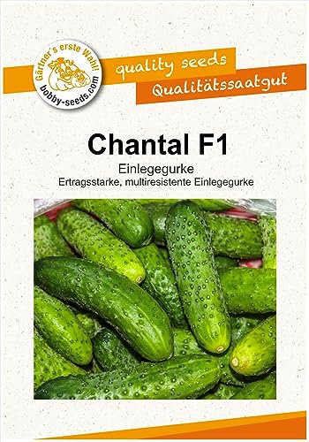 Gurkensamen Chantal F1 Einlegegurke Portion