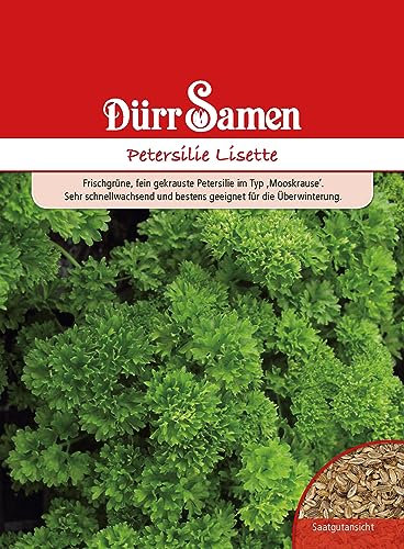 Petersilie Samen LisettePetersiliesamen ca 2000 Korn Küchenkräuter Kräutersamen Saatgut Balkon Garten Hochbeet Kübel Dürr Samen