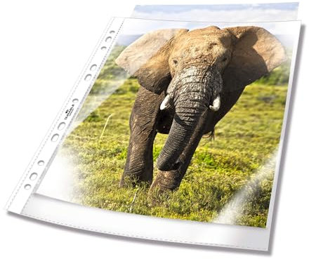 Durable Prospekthüllen (DIN A4 Business, 0,06 mm) Made in Germany, 100 Stück, transparent, 265819