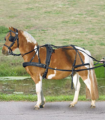 Einspänner Synthetikgeschirr, Pony und Shetty