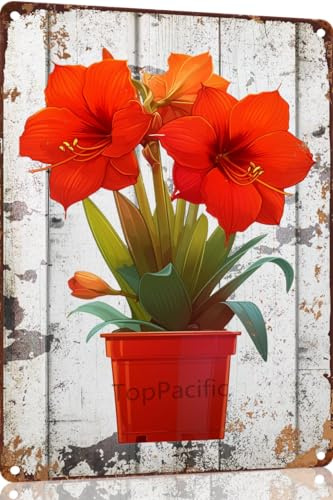 Amaryllis Flower Pot Tin Signs Decor Wall Plaque Vintage Metal Sign For Coffee Shop Garden Man Cave 20X30 Cm
