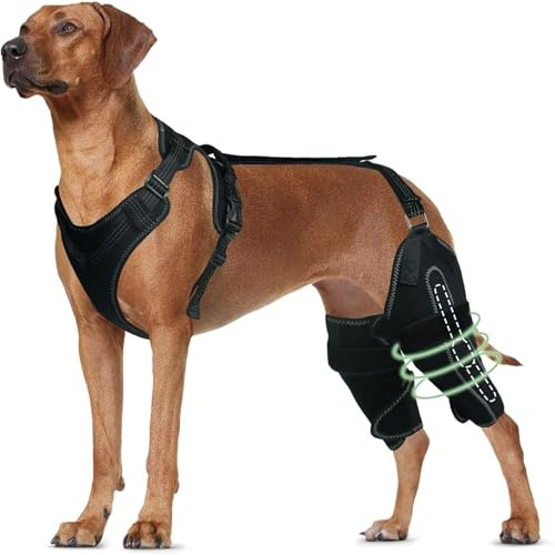 YAODFYL Kniebandage für Hunde bei Kreuzbandrissen im Hinterbein, verstellbare Unterstützung mit ausreichender Umhüllung und Stützwirkung sowie Patellaluxation (L30-38cm, Beide Beine)