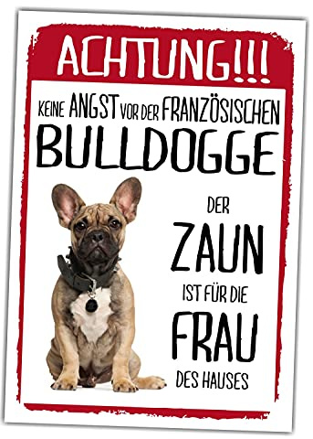 Französische Bulldogge Dog Schild Achtung Zaun Frau Spruch Türschild Hundeschild Warnschild Geschenkidee lustiger Spruch Hundemotiv Aluminium Wetterfestes Hundeschild