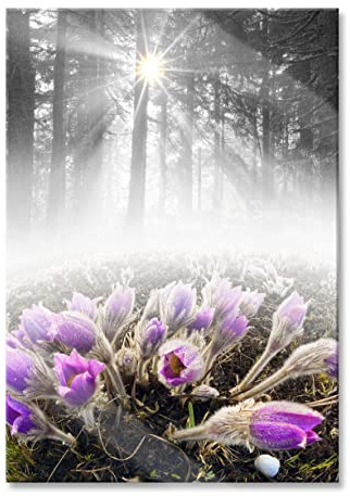 Pixxprint Glasbild, Wandbild aus Echtglas, blühende Blumen im Wald, 60x80 cm, inkl. Aufhängung und Abstandshalter