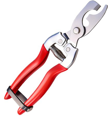 Stainless Steel Garden Shears | Stainless Steel Scissors | Garden Tool for Cutting | for Branches Roses Bonsai Lawn Plant