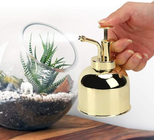 Dilwe Spruzzatore a Pressione, Annaffiatoio Manuale in Acciaio Inossidabile con Funzione di Nebulizzazione per Piante da Interno e Giardino