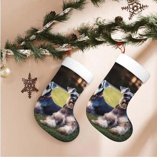 WSOIHFEC Weihnachtsstrümpfe für Erwachsene, Schnauzer, Hunde, weich, zum Aufhängen, 1 Stück, 45 cm, große Weihnachtssocken für Weihnachten, Familie, Kamin, hängende Dekoration