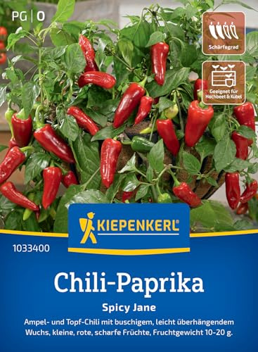 Kiepenkerl Chili-Paprikasamen Spicy Jane 1033400, Gemüsesaat | Leicht überhängend, Ampel- und Topf Chili, Höhe 40-60 cm, kompakt, aromatisch, für Hochbeet, Freiland & Topf
