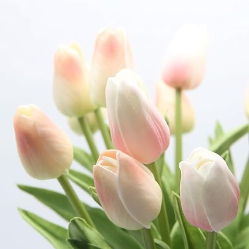 Tulip Bulbs,Flowering Rhizome,Excellent Display Indoor Perennial,Tulip Bulbs Mix,Tulip Tubers UK,Cut Flowers,Greening Flower,Balcony Garden Bulbs.-3Bulbs-E