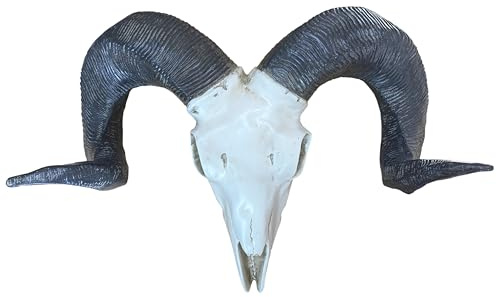 Sheep Skull Wall Mount Sculpture, Large Horn Ram Hanging Animal Head Ornament Figure Art Décor Resin with Vintage Ivory Finish, Wildlife Indoor Outdoor Decorative Accessories (Sheep Skull)