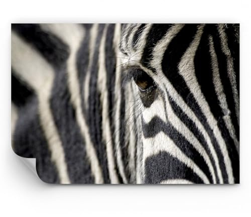 Fotomural 350x256 cm Papel Pintado Blanco y Negro Naturaleza - 2195 - WF1 | Costillas Jabalí Standard Papel pintado de papel no tejido Decoración de Pared Mural de Pared Salón Dormitorio Moderno ARTTOR