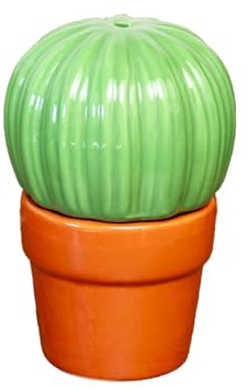 Novelty Cactus Design Salt & Pepper Shaker Set Fun Ceramic Condiment Pots Gift