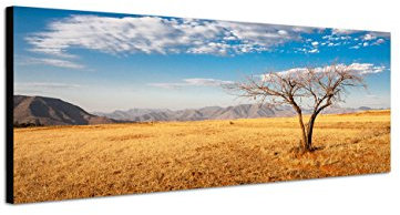 Augenblicke Wandbilder Keilrahmenbild Wandbild 150x50cm Afrika Steppe Berge Baum Himmel Wolken