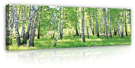 WallArena Leinwand Bilder 145x45 cm | Wald Grün Natur Landschaft, Leinwandbilder, Bild auf leinwand, Format: 145x45 cm (BxH) - einteilig auf Canvas
