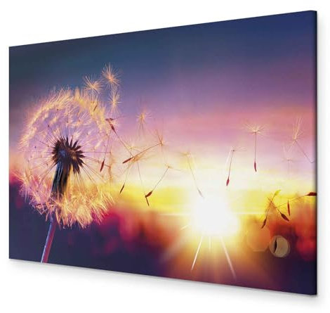 murando - Akustikbild Pusteblume Bilder Akustikschaum Hochleistungsschallabsorber Schallschutz Leinwand 1 tlg Wandbild Raumakustik Schalldämmung Pusteblumen Blumen b-B-0162-b-a
