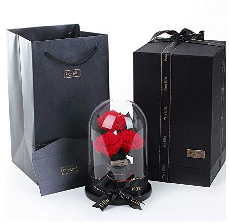XUMI Rose Eternelle sous Cloche, La Belle Et La Bête Rose dans Un Dôme en Verre pour Anniversaire, Saint Valentin, Fête des Mères, Anniversaire, Thanksgiving, Noël