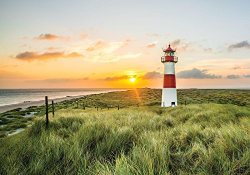 ForWall - Vlies Fototapete Strand Meer Nordsee Gräser Leuchtturm Sonne 254x184 cm - Fototapeten - Tapeten - für Wohnzimmer Schlafzimmer - Vliestapete Wandtapete Tapete 3D Effekt- inkl. Kleister