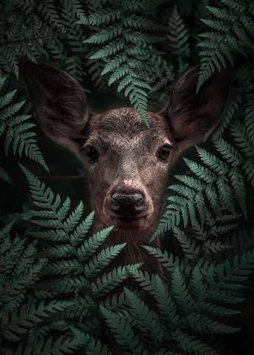 Deer In Ferns Poster Print - Al Barizi (24 x 36)