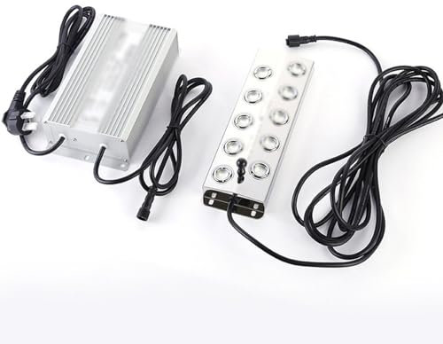 SHJ-HIUXCZ Ultrasonic Humidifier 10 Head Fogging Panel Pond Rockery Fogger Landscape Garden Spray Fogger,C