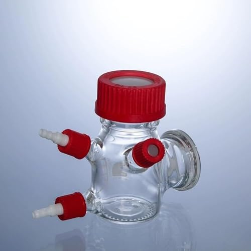 Scatola for batterie elettrochimiche chimiche microbiche del reattore MEC di tipo III da 250 ml - Vetro borosilicato ad alte prestazioni