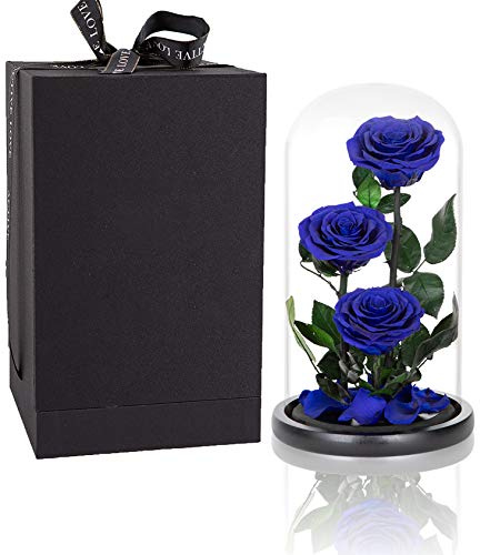 Preserved Roses Handmade Preserved Flowers in Glass Dome, Blue Rose Never Withered, Birthday Gifts for Women (13 inch)