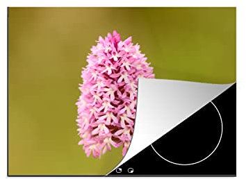 MuchoWow Herdabdeckplatte Ceranfeld Spritzschutz Küche Blumen - Orchidee - Rosa 60x52 cm Induktionsherd Abdeckung Induktionskochfeld Ceranfeldabdeckung