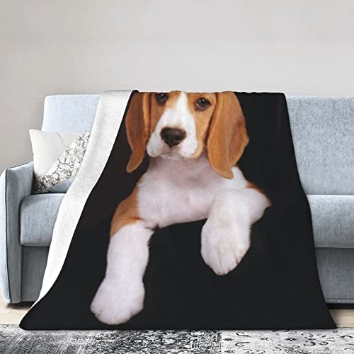 LAMAME ovely Haustier-Hunde-Beagle-bedruckte weiche Gesichtsdecke, Plüschdecke, vier Jahreszeiten, warme Decke, Reisedecke