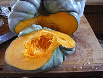 Seed Packet: TRIAMBLE Pumpn - 15 Seeds - Sweet - Winter Shamrock Squash - Austrian: Package Seeds Only