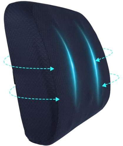 Ainiv Rückenkissen Bürostuhl, Lendenwirbelstütze Rückenkissen für Auto, Zuhause, Büro, Lendenwirbelkissen Schreibtischstuhl, Auto Rücken-Kissen, Memory-Schaum Rückenkissen Stuhl, Waschbarer Bezug/Blau