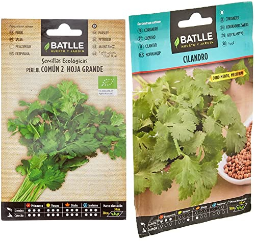 Perejil Común 2 (hoja grande) - ECO & Batlle Semillas Aromáticas, Cilantro