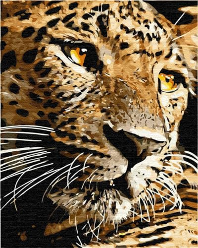 Artnapi Malen nach Zahlen Erwachsene mit Rahmen | DIY Handgemalt | Tiere - Leopard | Kit für Anfänger und Erwachsene | Set inklusive Acrylfarben & Pinsel | 40x50cm Leinwand | Ideal als Geschenk