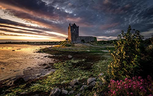 Haeran River Irland Galway Burg Malen Nach Zahlen DIY Einzigartiges Leinwand Ölgemälde Kit Digitale Malerei