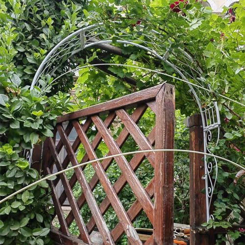 Arche de jardin en métal à fixation murale – Arche de rose parfaite pour plantes grimpantes, arche de jardin pour fenêtres et portes d'entrée