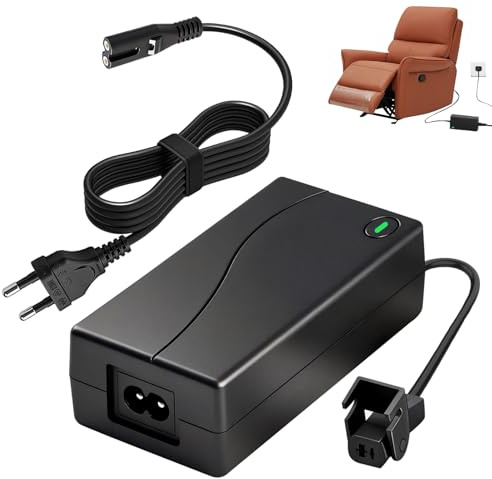 Alimentation 29V 2A pour Fauteuil Électrique avec Câble 2 Broches 185-240AC