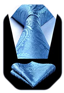 HISDERN Herren Hochzeit Krawatten und Einstecktuch Set Paisley Krawatte Jacquard Einfarbige in Verschiedenen Farben