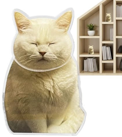 Generisch Wackelkopfkatze,Katze Wackelkopf, Niedliche Ornamente Für Das Armaturenbrett, Acryl-Ornamente Für Armaturenbrett Und -Schreibtisch, Tier-Schüttelkopf-Autodekorationszubehör
