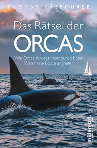 Das Rätsel der Orcas: Der Bestseller: Wie Orcas sich das Meer zurückholen. Warum sie Boote angreifen.