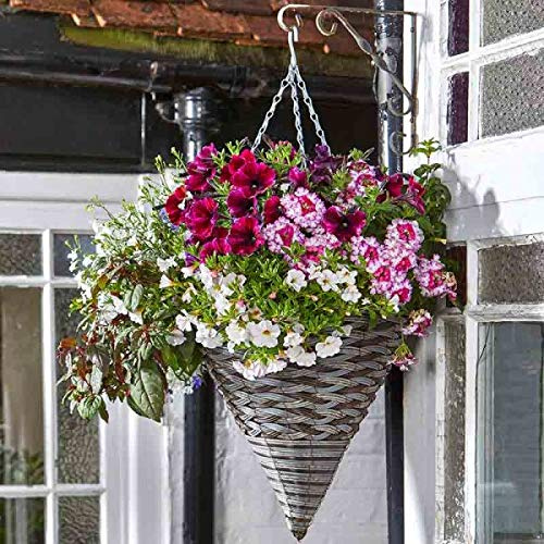 Smart Garden Faux Rattan Hanging Cone - Pinto, 35cm