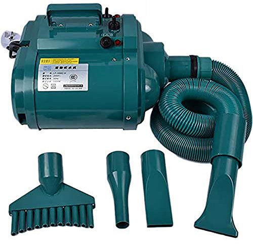Nuova Promozione 3300W Asciugacapelli Animali Domestici Blaster Cani Gatti Essiccatore Per Moto Ad Alta Velocità A Basso Rumore Con 3 Ugelli 2.5M Tubo Flessibile 4 Marce Regolazione Della Velocità