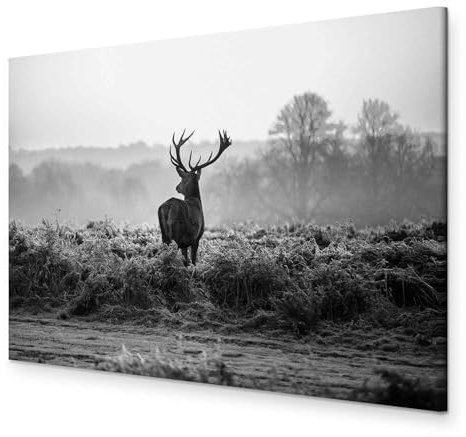 murando HandArt Bilder auf Leinwand Hirsch 1 tlg Leinwandbild Wandbilder Wohnzimmer Wanddekoration Moderne Kunst - Natur Tier Landschaft g-B-0048-b-c