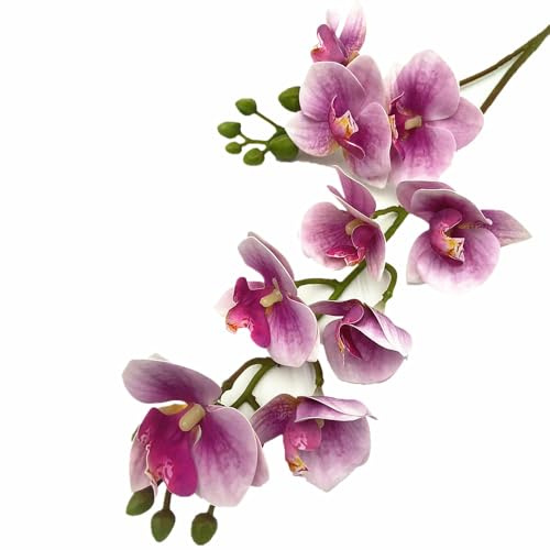 forestmistry 5pcs Latex Butterfly Orchid Flower Two Forks 9 Heads Real Touch 3D Print Artificial Phalaenopsis (deep Pink)