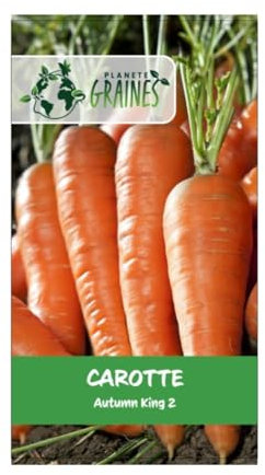 1000 graines de carotte automne hiver king 2 - -Idéal cuisine et stockage - Racines levées tardives - Variété large et très apprécié