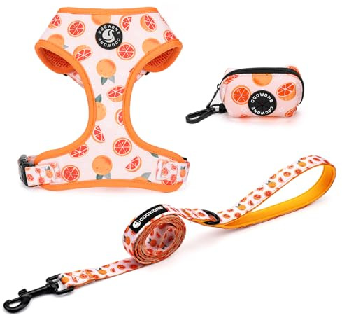 Arnés y correa para perro, portabolsas de caca 3 juegos, arnés ajustable tipo chaleco para cachorros y gatos con acolchado de malla suave, suministros para mascotas para perros pequeños y medianos