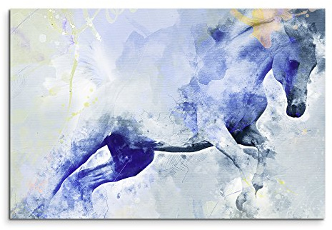 Paul Sinus Art Bild Leinwand 120x80cm Fliehendes Pferd in Blautönen