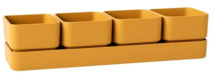 VIRSUS Fioriera con 4 vasi e unico sottovaso 308, misura 48x12x11 cm, Fioriera di forma rettangolare per interno e per esterno, vasi per piccole piante grasse, resistente ai raggi UV (Curry)